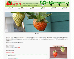 ベランダイチゴ