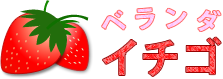 べらんだいちご