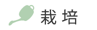 栽培