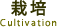 栽培 Cultivation